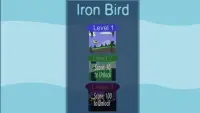 Iron Bird Big World Screen Shot 1
