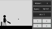 Cricket Game Screen Shot 5