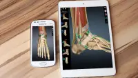 Anatomy Learning - Atlas d'anatomie 3D Screen Shot 6