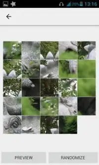 Dino Zoo Screen Shot 4