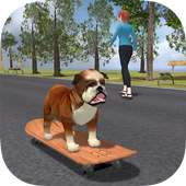 Bulldog on Skateboard