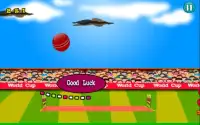 Cricket Unlimited Screen Shot 4
