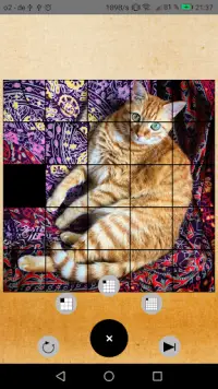 Cats Sliding Puzzle Screen Shot 2
