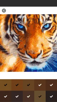 Tiger and Lion Pixel Art Coloring By Number Screen Shot 2