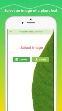 Plant Disease Identification app Screen Shot 2