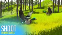 Duck Hunting Season 2021: Duck Shooter Screen Shot 3