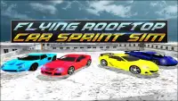 Flying Rooftop Car Sprint Sim Screen Shot 12
