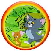 Tom Run And Jerry Crazy