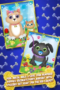 Newborn Baby Puppy Celebrity Pets - Dog Salon Game Screen Shot 1