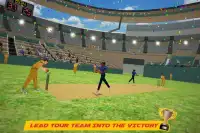 World Cricket International Fight Tournament Screen Shot 6