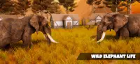 Super Elephant Simulator Games Screen Shot 5