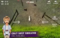 simulador de ovelhas Screen Shot 0