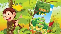 Monkey Banana Jungle 2016 Screen Shot 5
