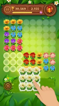 Puzzle Florido de Bloco Screen Shot 10