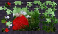 mini Jigsaw Puzzle Screen Shot 0