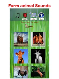 Juegos de animales de granja para niños 🐖: granja Screen Shot 5