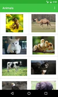 Animals Names Screen Shot 1