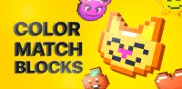 Color Match Blocks Screen Shot 10