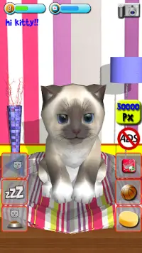 Kitty lovely 🐱 Virtual Pet Screen Shot 9