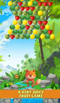 Bubble Fruit Shooter Screen Shot 9