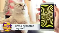 Cat Hypnosis. Simulator Screen Shot 2