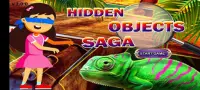 Hidden Objects Saga Screen Shot 0