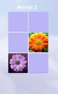 Flower Memory Screen Shot 4