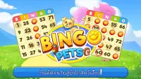 Bingo:  Free the Pets Screen Shot 7