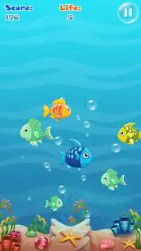 Atrapa a todos los peces Screen Shot 2