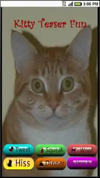 Cat Teaser Cat Sounds & Game Screen Shot 0