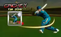T20 World Cricket 2018 Screen Shot 0