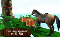 Horse Riding Simulator Screen Shot 1