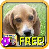 3D Beagle Slots - Free