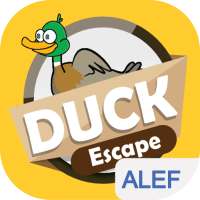 Duck Escape