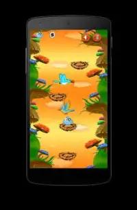 Bird Pirate Training Screen Shot 1