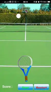 TG Tennis Screen Shot 0