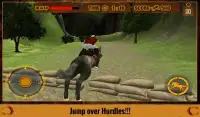 Wild Horse Rider Hill Climb 3D Screen Shot 11