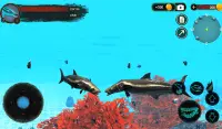 The Cobia Screen Shot 15