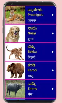 Learn Kannada From Hindi Screen Shot 4