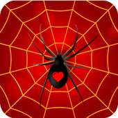 Solitaire Classic - Spider Cards Game