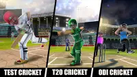 RVG World Cricket Clash Lite Screen Shot 2