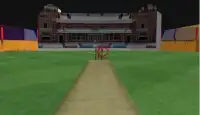 Gerçek Kriket Dışarı koşmak şampiyonluk Screen Shot 5