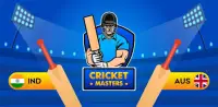 Cricket Masters- Captains Game Screen Shot 0