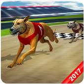 Wild Greyhound Dog Racing 2