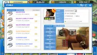 Horsemaker : Horse Racing Game Screen Shot 3