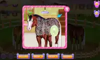 Horse and pony caring Screen Shot 1