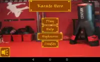 Karate Hero Screen Shot 7