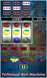 Spielautomat. Casino-Slots. Screen Shot 3