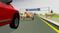 RoadKill Race Simulator Screen Shot 3