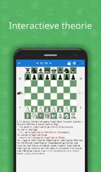 Bobby Fischer - Schaakkampioen Screen Shot 3